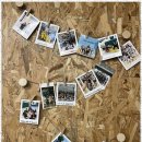 합기도을지관 이미지