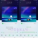 나무늘보,요정 Daum카페