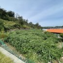 주심건축사사무소 이미지