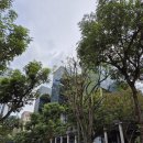 파리바게뜨(대림현대점) | 창이 공항 경유(Layover) 싱가포르 당일치기 3시간 여행기