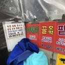 노상야채
