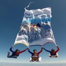 참사랑청과
