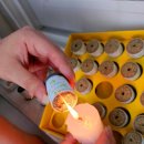 이오메디칼 | 부모님선물 무연뜸 붙이는 가정용 쑥뜸 혈자리 이오 단심뜸