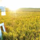 만흥농장 이미지