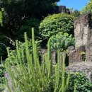 숨도 귤림성 이미지