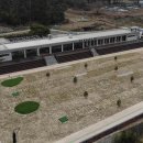 봉덕초교평사분교장 이미지