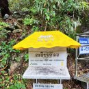 운일암반일암숲길 이미지