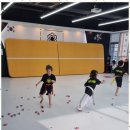 팀 에이스 태권도 이미지