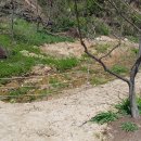 생동농장 이미지