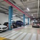 메리그루밍 이미지