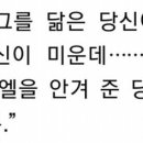 엘리 야리