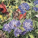 화가의정원 이미지