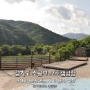 가평 제이캠핑장 네이버블로그