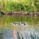 다혜목장 이미지