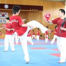 강진태권도 이미지