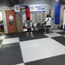 수 복싱아카데미 이미지