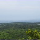 서귀포자연휴양림2 이미지