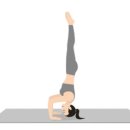 곰셰프네 이미지