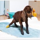 기립농장 이미지