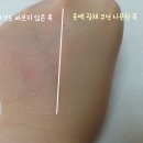 라이트밀라밀 | 산다화 씨씨쿠션 추천, 촉촉한 쿠션, 수정용쿠션, << 산다화 동백 브라이트닝 광채 쿠션 >>