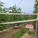 최재용농장 이미지