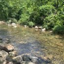 용문산 펜션 이미지