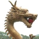 (주)말똥구리