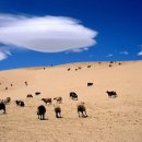 야훼이레 이미지