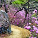 진달래약수터 이미지