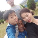 안태초등학교 이미지