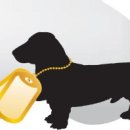 충무로애견 이미지