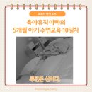 대박가설 | 육아휴직 아빠의 5개월 아기 수면교육 후기 10일차 : 루틴은 신이다