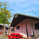 드림오브바디 이미지