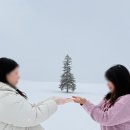 삿포로여행기 DAY2⛄ 날씨가 너무 좋았던 비에이투어 ｜ 인디고트래블 비에이투어 후기
