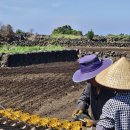 근형농장 이미지