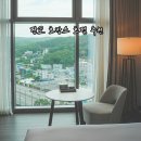 PC나인 | 판교 호텔 신축 더블트리 바이 힐튼 나인트리 수영장 비교 호캉스 할인