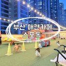 해운대스포츠(실외) | 부산 해운대 애견동반/운동장 카페 스포독 후기🐾🐶