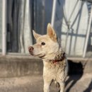 포유모텔 이미지