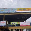 이마트24 self춘천한일점 | 마지막 여름은 빠지 골든몽키에서