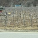 주왕산관광단지내 이미지