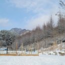 마치집인냥 이미지