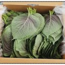 서진농장 이미지