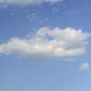 푸른하늘 이미지