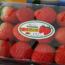 늘행복한농장 이미지