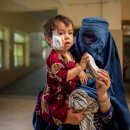 파키스탄: 피부 리슈만편모충증 환자를 위한 의료지원 확대 시급 이미지