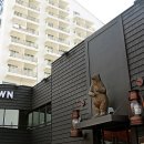 베어스타운콘도 이미지