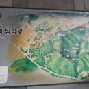 선흘네모김밥국수