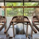 오늘다짐PT | 뼈말라인간의 헬스 PT 첫운동 / 석수역 다짐헬스장 PT솔직후기