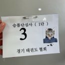 품 태권도 | 국기원 태권도 승단심사 후기(태권도 띠 순서, 품/단 차이)