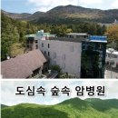 나무병원건강한숲 이미지